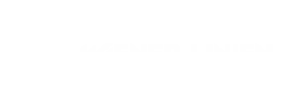 Wiener Linien client logo